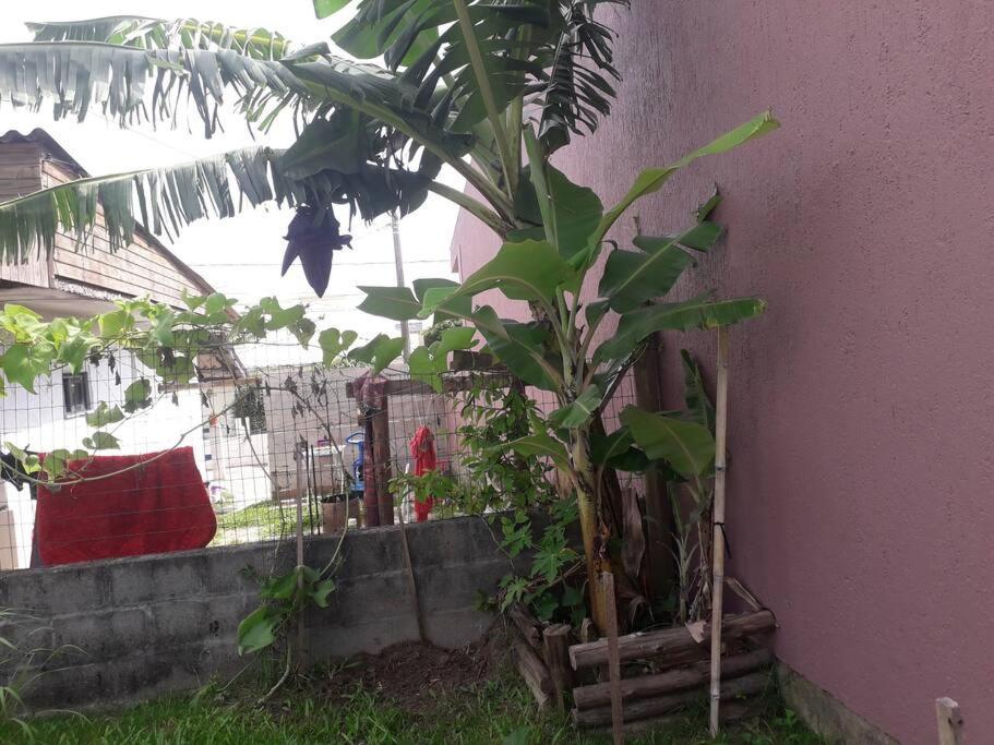 Casa Proximo A Praias, Trilhas E Cachoeiras. ガロパバ エクステリア 写真