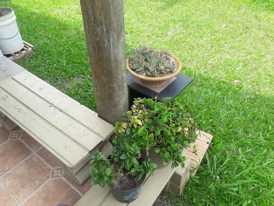 Casa Proximo A Praias, Trilhas E Cachoeiras. ガロパバ エクステリア 写真